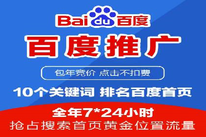 深度解析：百度推广费用与ROI的关联案例